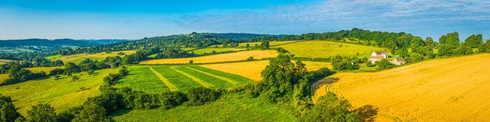 Agricultural & Business Property Relief - Beyond the Basics for Accountants - Live at Your Desk