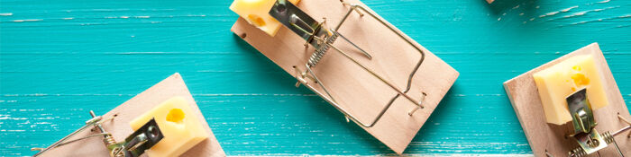 Traps to Avoid in Will Drafting - How to Minimise Risk