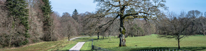 Unregistered Land Conveyancing - A Practical Workshop