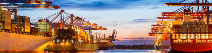 International Trade & The UK Customs Duty Regime - Live at Your Desk