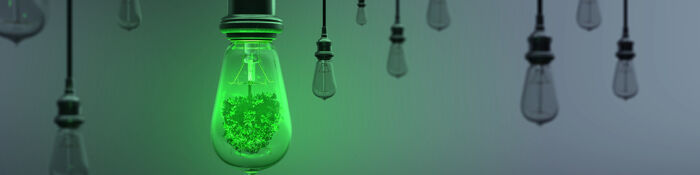 IP & Climate Change - How to Protect Green Innovations
