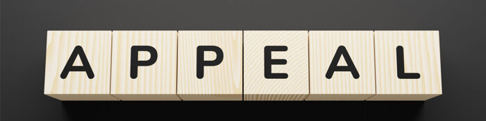 Criminal Appeals - All You Need to Know 