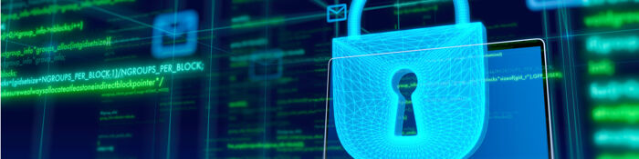 Cyber-Security Focus for Accountants & Auditors - Protecting Your Firm & Clients