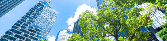 Tree Identification & Buildings Risk - A Practical Guide for Property Professionals