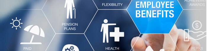 Permanent Health Insurance & Employment - Rights, Obligations & Risks Explored