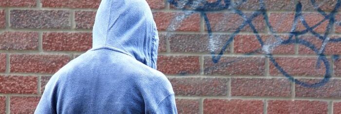 Sentencing ‘Child to Adult’ Offenders - Principles & Caselaw 