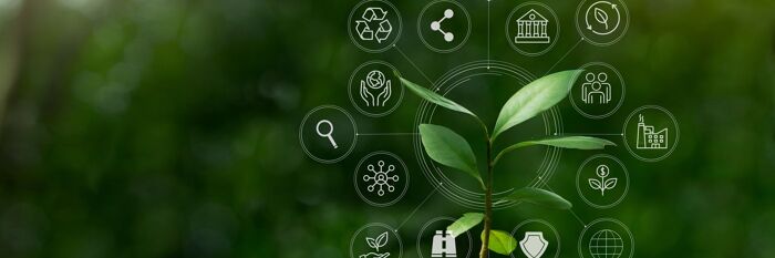 Materiality Matters - How to Conduct an ESG Materiality Assessment