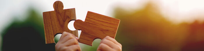 Can a Minor Own Shares in a Private Limited Company? - A Bitesized Guide
