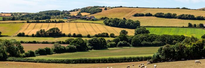 Agricultural Tenancies - Latest Guidance & Regulations Explored