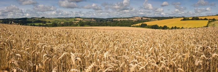 Agricultural Law Update - Key Issues & Recent Developments