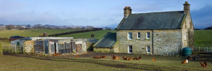 The ABC of Agricultural Property Relief