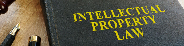 Intellectual Property Update for In-House Lawyers - Latest Cases & Developments