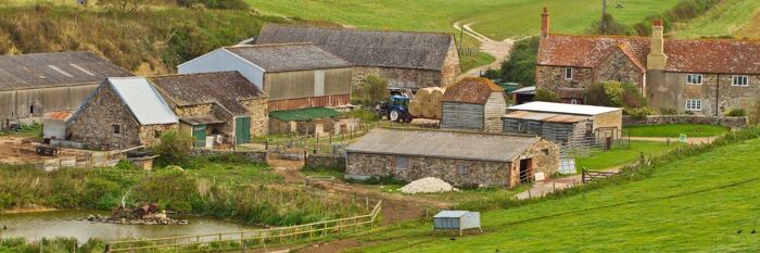 Agricultural Tenancies & the New Code of Practice - A Bite-Sized Update