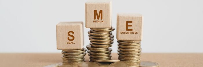 Valuation of SMEs - A Practical Guide