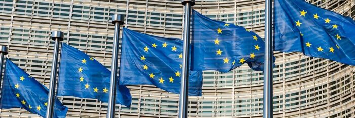 Human Rights Due Diligence - Navigating the Key EU Laws