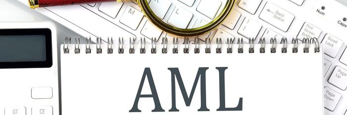 Professional Misconduct Despite Effective AML Controls - A Guide for Conveyancers