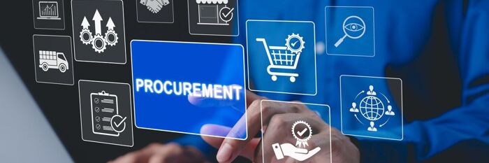 The Use of AI in Public Procurement