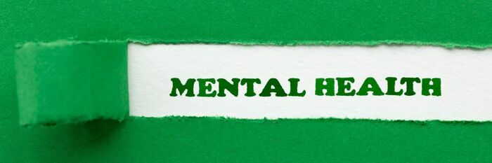 Mental Health Law Update - Key Developments Explored
