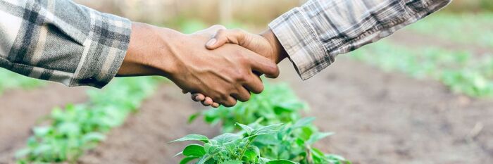 Farming Partnership Agreements - A Bite-Sized Introduction