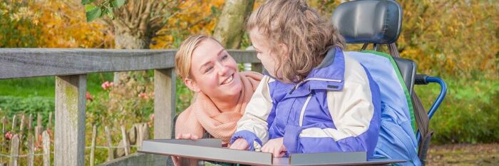 Drafting Wills for Families with Disabled Beneficiaries - Practical Hints & Tips
