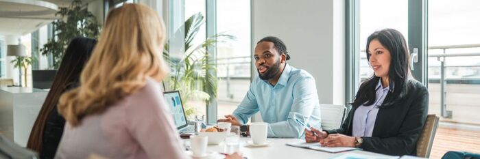 Embedding Sustainability into Business Decisions - How Accountants Can Support Their Clients on the Road to Net Zero