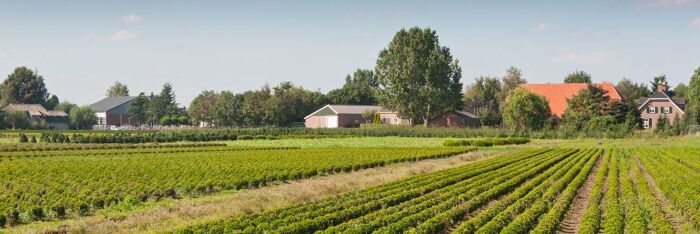 An Advanced Guide to Agricultural Tenancies