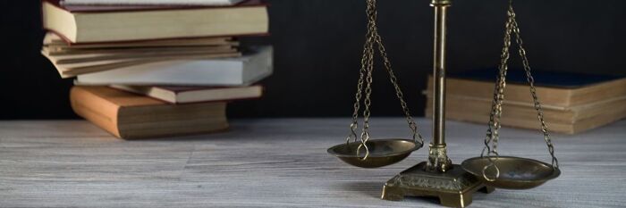 Private Children Law - 2025 Virtual Conference