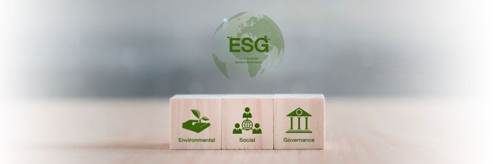 ESG Reporting - Staying Ahead in a Global Landscape with Grant Thornton