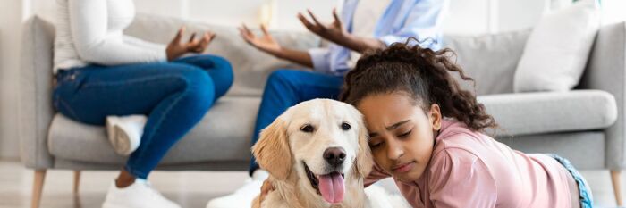 Navigating Pet Custody in Divorce & Separation
