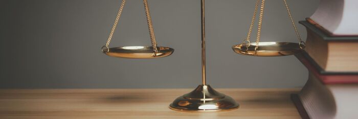 The Art of Proportionality & Costs for Litigators