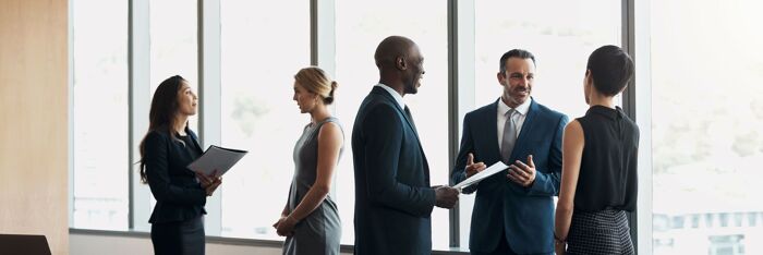 The LLP Salaried Members Rules - Compliance, Challenges & Case Law