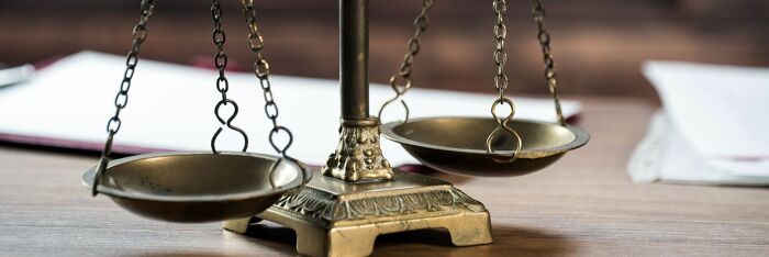 Emergency Proceedings & Interim Removal - What Are the Key Principles?