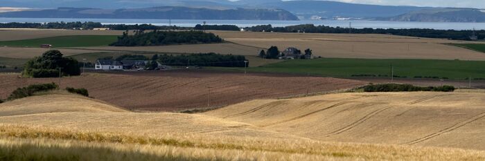 Occupiers’ Liability in the Rural Sector in Scotland - Key Issues Explored