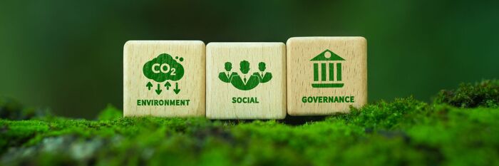 ESG Considerations in the Insurance Industry
