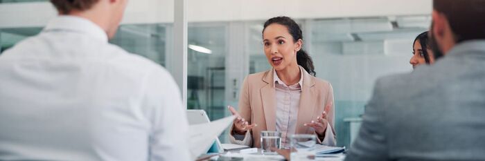 Representations, Warranties & W&I Insurance - A Practical Guide for Corporate Transactions