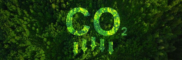 Beyond Carbon - Internalising Nature, People & Strategic ESG Risks & Opportunities