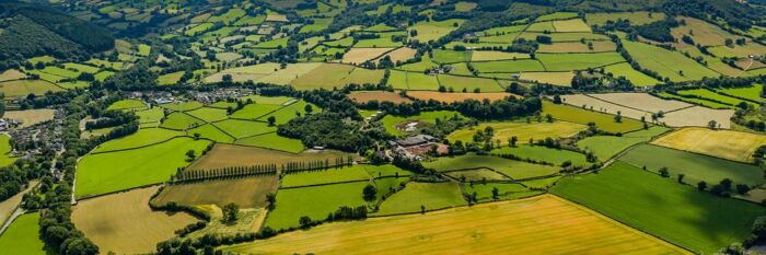 The New Sustainable Farming Scheme in Wales - What You Need to Know 