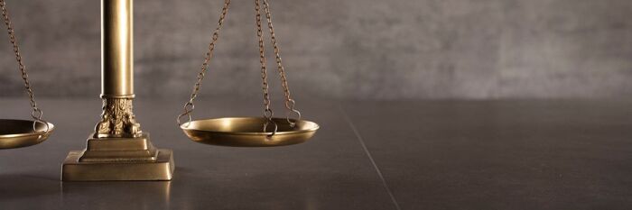 Protecting the Next Generation: Understanding Children’s Rights to Provision in Parents’ Estates in Ireland - Webinar