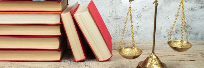 Civil Litigation - 2025 Case Law Roundup with Professor Dominic Regan