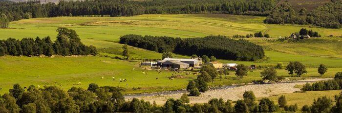 Agricultural Tenancy Types in Scotland - How to Determine What is Really in Place