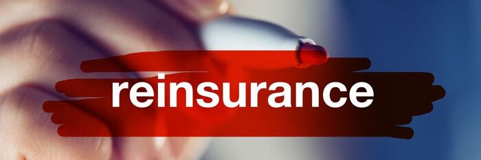 2026 Reinsurance Case Law Update