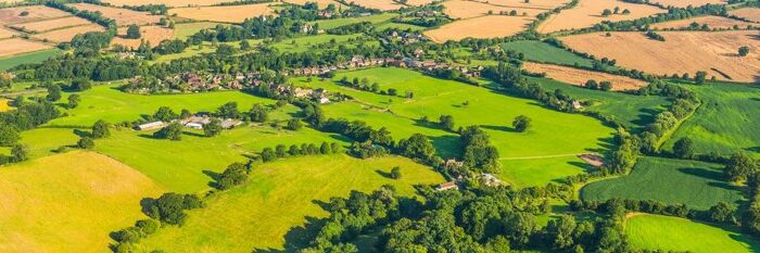 ELMS & Tax - How to Protect Your Client’s Position