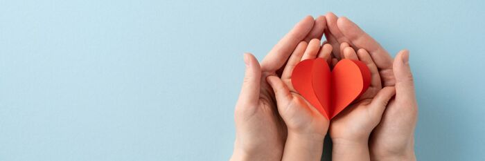 Safeguarding in Action - Strengthening Oversight & Accountability in Charities