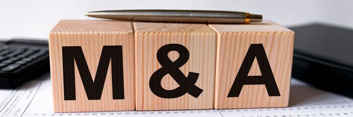 Tax Provisions in Irish Share Purchase Agreements & Tax Deeds - Beyond the Basics
