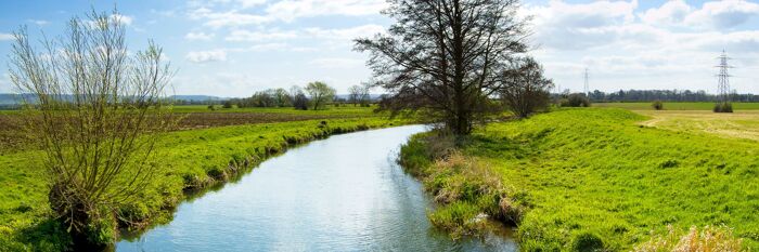Nutrient Neutrality in Planning - Challenges, Reform & Practical Solutions