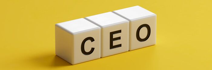 The Chief Executive Function (SMF1): A Practical Masterclass