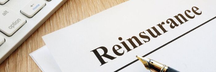 Reinsurance Contracts: Recent Case Law & Key Issues