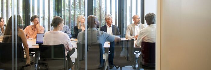 Behavioural Governance: Why Good Boards Make Bad Decisions