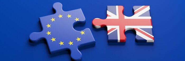 Post-Brexit Trade Marks - Key CJEU Cases & Practical Implications