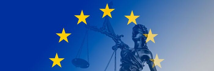 EUIPO Opposition Proceedings - Procedure, Evidence & Strategy